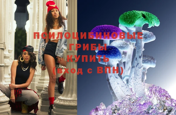 ECSTASY Лиски