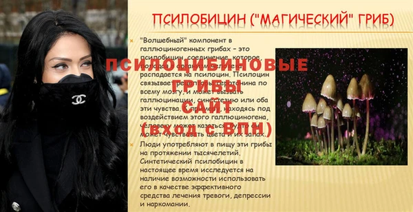 ECSTASY Лиски
