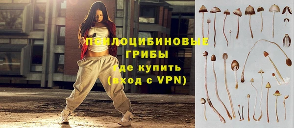 ECSTASY Лиски
